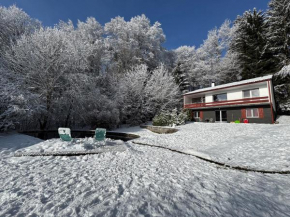 Alpenblick Rickenbach